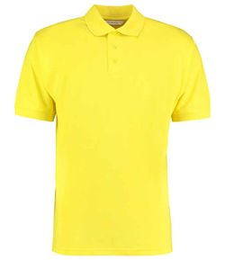 Colour – Canary