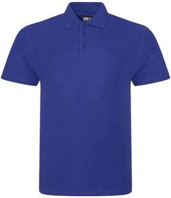 Colour – Purple