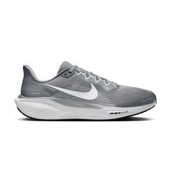 Cool Grey / Wolf Grey / Pure Platinum
