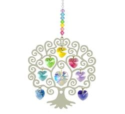 Modell – Reines Licht
