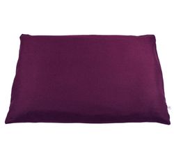 Farbe – Violett