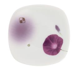 Modell – Ipomäenblüte