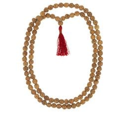Rudraksha
