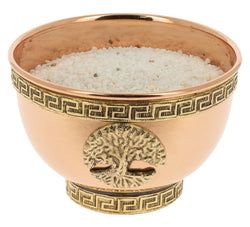 Modelo – Árbol de la Vida