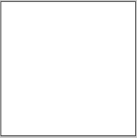 Size – 600x600