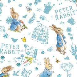Peter Rabbit