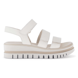 Style – White