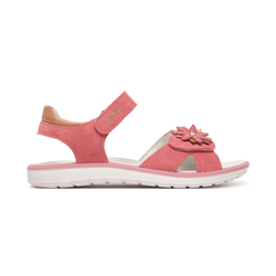 Style – Pink