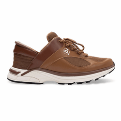 Style – Brown