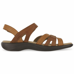 Style – Tan