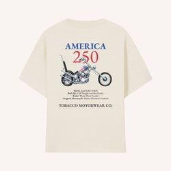 The Collection – America 250