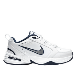 White/Metallic Silver