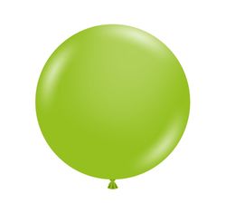 Size – 17 inch - 50ct