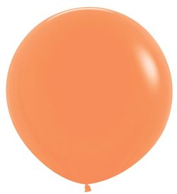 Size – 24 inch -10ct