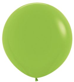Size – 24 inch -10ct