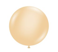 Size – 17 inch - 25ct