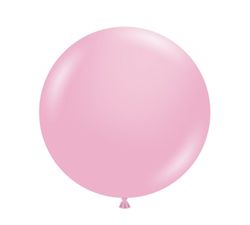 17 inch - 50ct