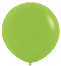 Size – 36 inch -10ct