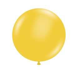 Size – 17 inch - 25ct