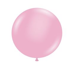 Size – 17 inch - 50ct