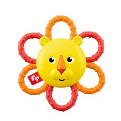 Tür – Aslan