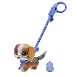 Tür – Kedi
