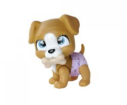 Tür – Köpek