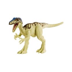 Tür – Coelurus