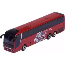 Model – Lions Coach