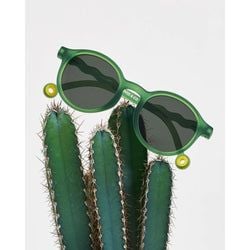 Renk – Olive Green