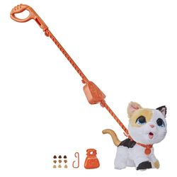 Tür – Kedi