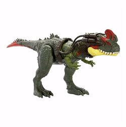 Tür – Sinotyrannus