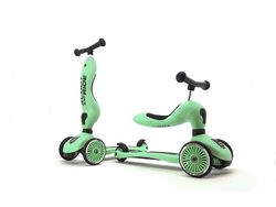 Renk – Kiwi