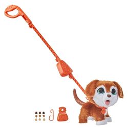 Tür – Köpek