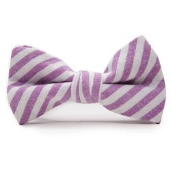 Iris Stripe – Bow Tie for Boys