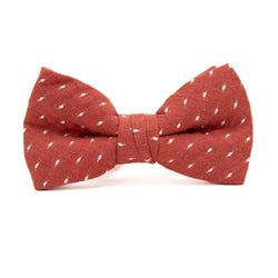Apple – Boys Bow Tie