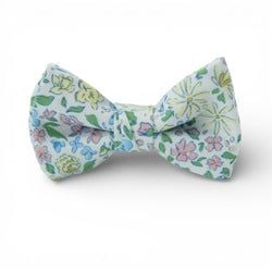 Blooming – Boys Bow Tie