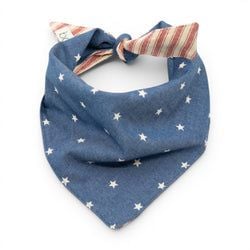 Star Spangler – Dog Bandana