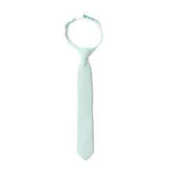 Mint Stripe – Boys Tie