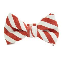 Scarlet Stripe – Bow Tie for Boy's