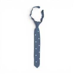 Star Spangler – Boys Tie