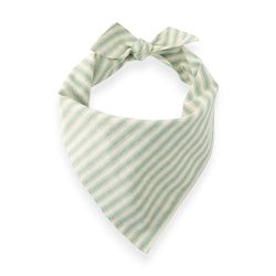 Pistachio Stripe – Dog Bandana