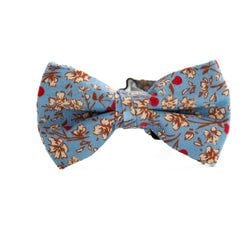 Bow Tie for Boys