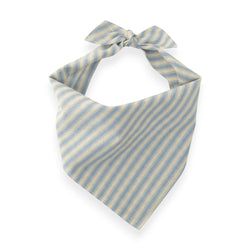 Robin Egg Stripe – Dog Bandana