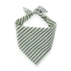 Juniper Stripe – Dog Bandana