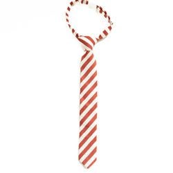 Scarlet Stripe – Boy's Tie