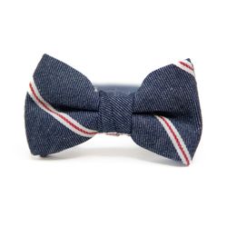 Lincoln Stripe – Bow Tie for Boys