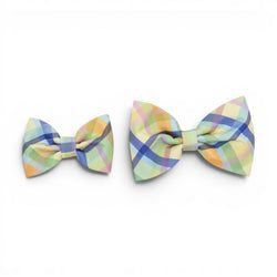 Dog Collar Bow Tie