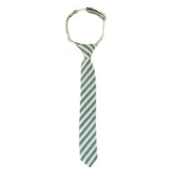 Juniper Stripe – Boy's Tie