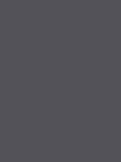 Color – Slate Gray